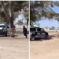 Muere atropellada una persona que era perseguida por policías (Video)