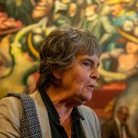 Academia e Imcine: El acceso al cine nacional