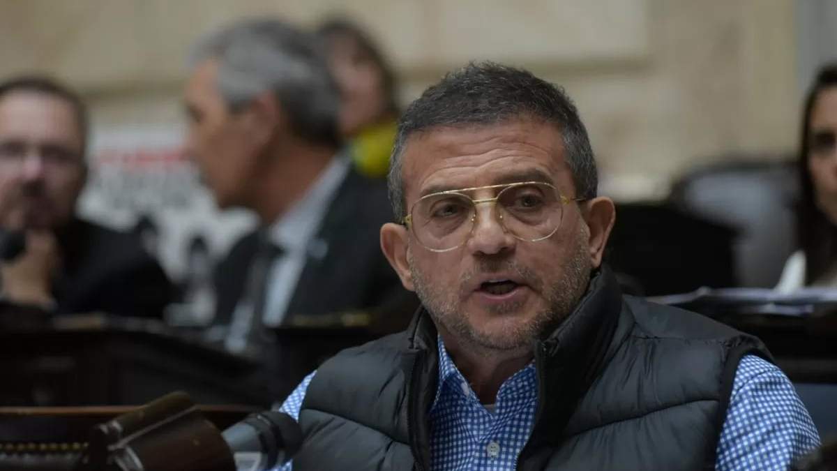 Diputado. Fuente: (X)