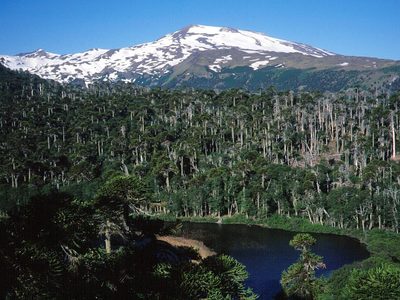 Caviahue-Copahue, joya turística distinguida como el pueblo más bello del mundo