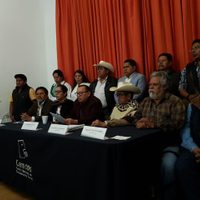 Especialistas y defensores indígenas demandan posponer el Tren Maya