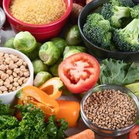 Nuevos hábitos en la alimentación y propuestas de moda