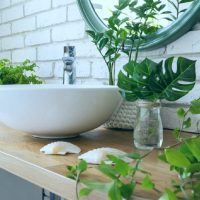 5 plantas perfectas para darle un toque natural y único a tu baño