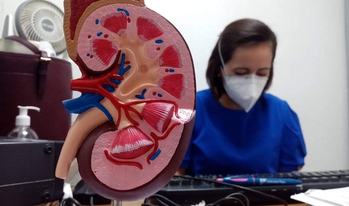 La enfermedad renal crónica es sinónimo de que los riñones están dañados y no producen klotho