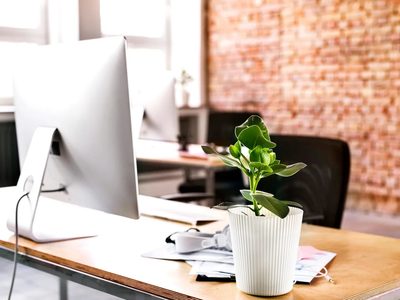 3 plantas que deberías tener en tu oficina o espacio de trabajo si querés mejorar