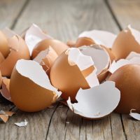 No tires las cáscaras de huevos: ahorrá plata para la fiesta de Halloween con esta creativa idea