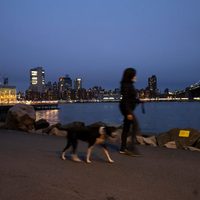 EU supera las 30 mil muertes por covid-19; NY concentra el 35%