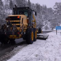 Los pasos Pino Hachado y Cardenal Samoré se encuentran habilitados y rutas transitables