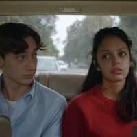 'Genése” y 'Feral” ganadoras del Festival de Cine de Los Cabos