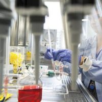 Guatemala emite alerta epidemiológica por la detección de un misterioso hongo