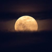 Luna de fresa, la última de este año: fecha y hora para verla en México