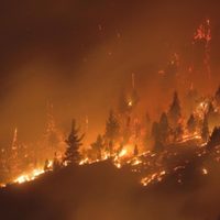 Incendio sin control: la alarmante catástrofe que se vive en El Bolsón