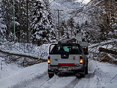 Nieva en Neuquén: enterate en dónde y mirá las imágenes