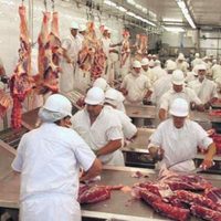 Golpea la inseguridad a la industria cárnica mexicana: Comecarne