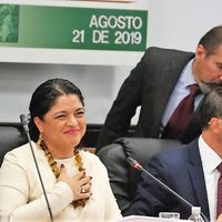 Acusan al diputado morenista Sergio Mayer de pedir 'moche”