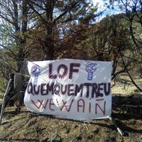 Una comunidad mapuche irrumpió en un campo privado en Río Negro
