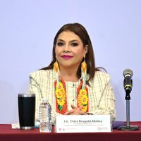 Nuevo reproche de Brugada a medios por su cobertura (Video)