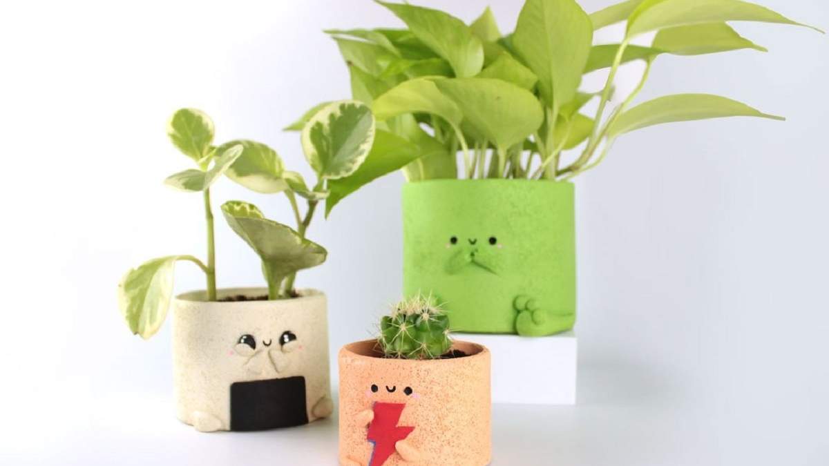 Plantas. Fuente: (Sun & Grow)
