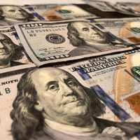 Dólar hoy: a cuánto cotiza este martes, 19 de enero