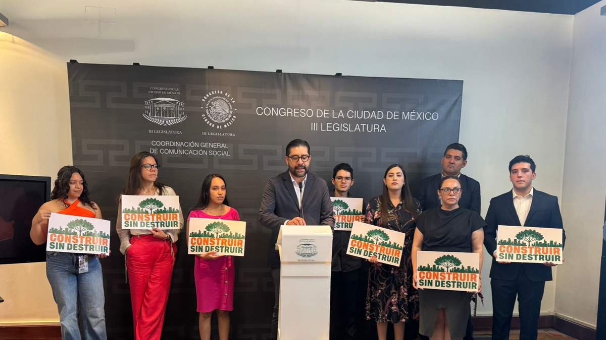 MC presenta iniciativa para que nieguen permisos de construcción cuando implique tala de árboles