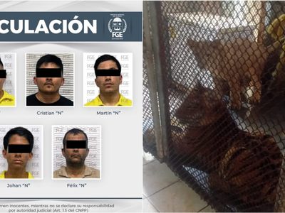 Por explotación animal, vinculan a cinco a proceso; entre ellos un exregidor suplente de Morena