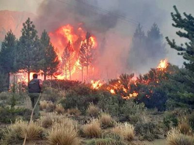 6.500 hectáreas arrasadas: incendio fuera de control en El Bolsón