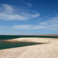 Arte y mar en San Antonio Oeste: el paseo que se transforma con la marea a minutos de Las Grutas