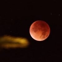 Eclipse total de Luna 2026: consejos de la NASA para observar el fenómeno