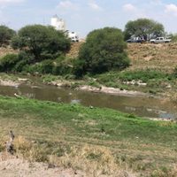 Tiran cinco cuerpos al Río Laja de Celaya