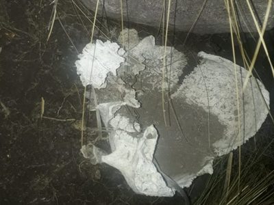 Los restos humanos hallados en El Nihuil serían de un niño y un adulto
