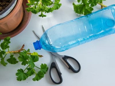 No tires las botellas de plástico y creá esta cápsula de crecimiento rápido para tus plantas