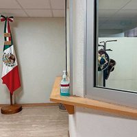 La costosa austeridad de México ante la OMC