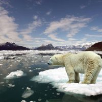 China y Estados Unidos: comprometidos para frenar el cambio climático