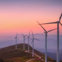 La Coalición Global de Energía Eólica pidió "mayor liderazgo en la crisis climática"
