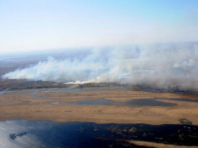 La lluvia ayudó a controlar el incendio en el Delta del Paraná