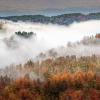 Arranca el invierno con niebla y con una alerta: el clima para hoy en Neuquén