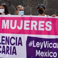 Diputados avalan reforma que tipifica la violencia vicaria como delito