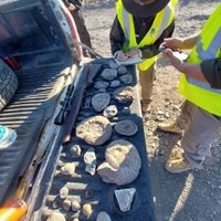 Encontraron, en una camioneta, una gran cantidad de fósiles de animales marinos que vivieron hace más de 400 millones de años