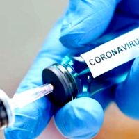 ¡Alerta! Confirman otros 9 casos de coronavirus por lo que ya hay 65 afectados en todo el país