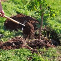 Propuesta sustentable en Filipinas para cuidar el medio ambiente