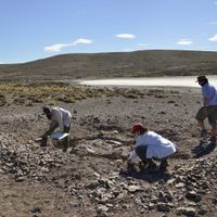 Sorpresa en la Patagonia por un gran hallazgo prehistórico