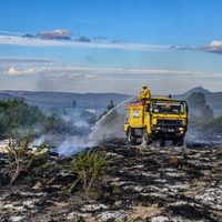 La Sociedad Rural de Neuquén le pidió al Gobierno que decrete la emergencia ígnea