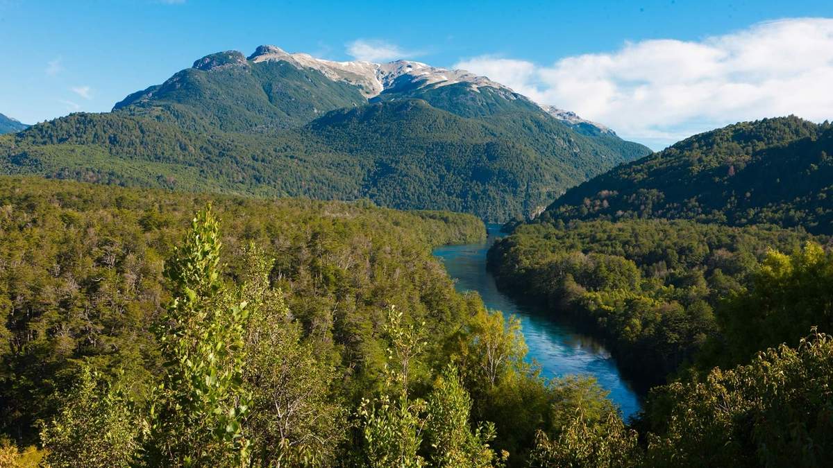 Parque Nacional Los Alerces. Fuente: (Tripin Argentina)