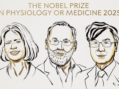 Brankov, Ramstell y Sakaguchi, Nobel de Medicina por descubrimientos en tolerancia inmune periférica