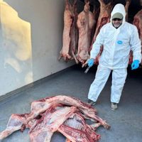 Más de 1600 kilos de carne fueron secuestrados por irregularidades y mal estado