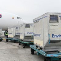 Llegó al país un nuevo vuelo con vacunas de AstraZeneca