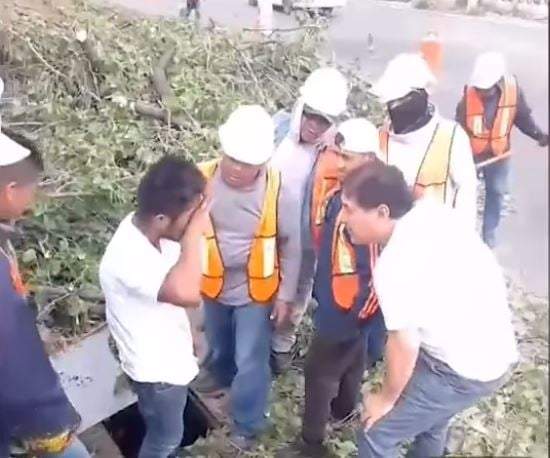 Hermenegildo Islas es encontrado por trabajadores