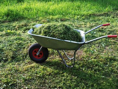 No tirés el césped que cortaste de tu jardín y hacé este increíble fertilizante para tus plantas