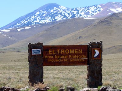 La Laguna Tromen se secó y mucha de su fauna y vegetación se perdió