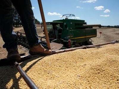 Tras la eliminación de las retenciones al campo, advierten cuáles serán las consecuencias en la economía